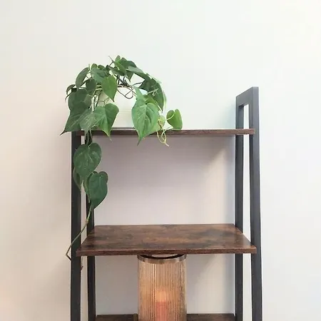 Concierge Hoza Flat6