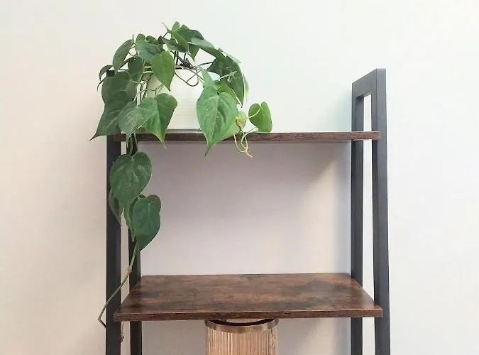 Concierge Hoza Flat6